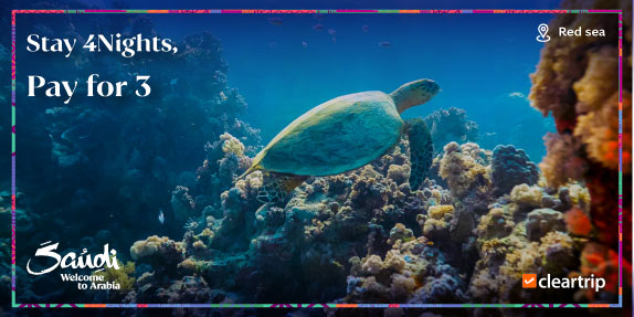 A Longer Stay by the Red Sea